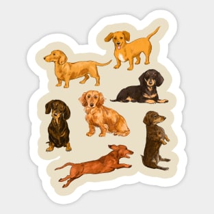 Dachshunds, dachshunds Sticker